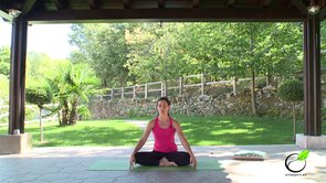Clase de yoga para principiantes gratuita